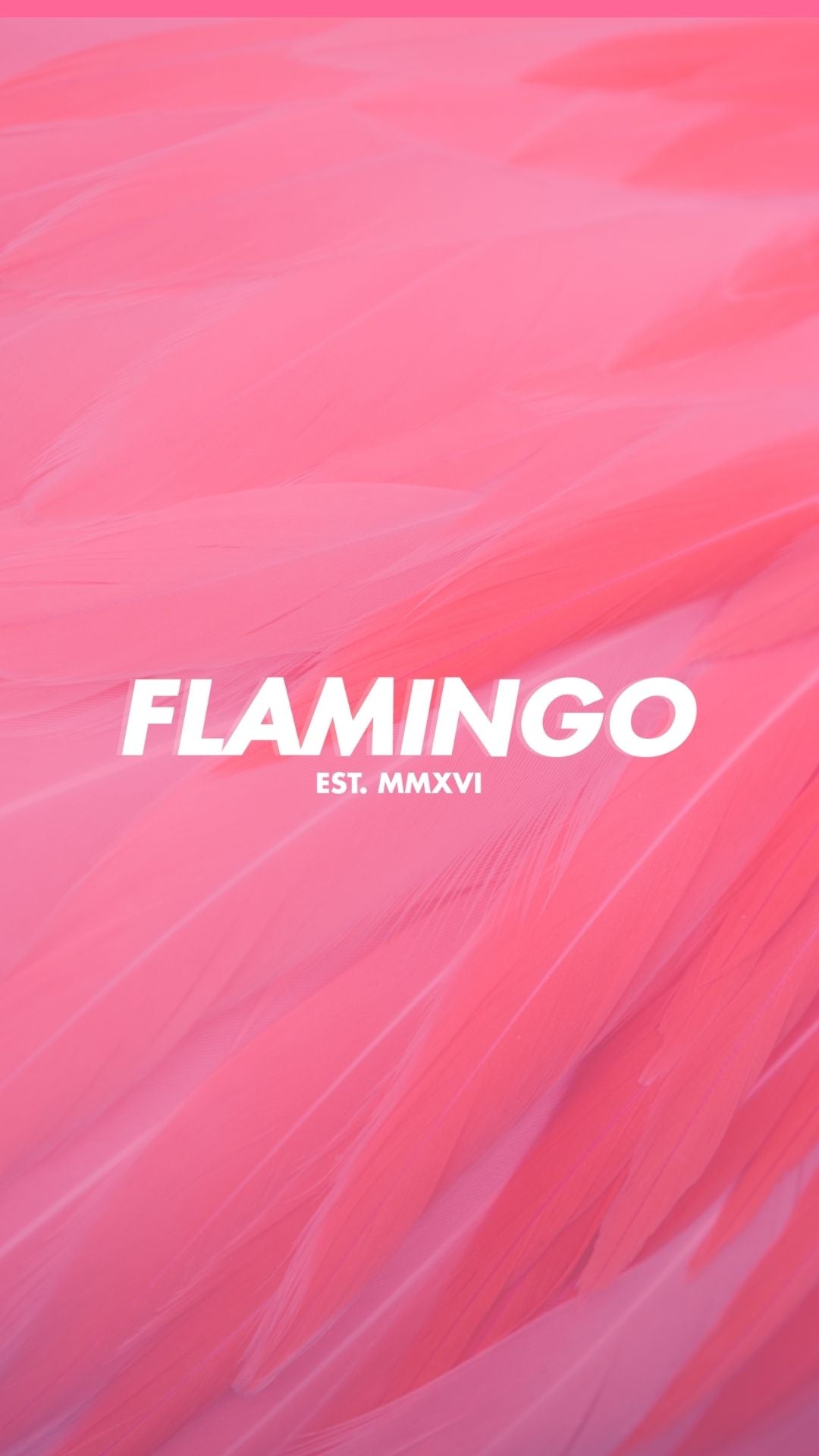 Flamingo plume wallpaper – Flamingo Apparel